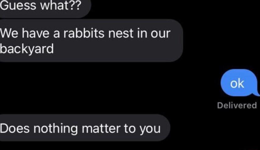 Guess what WELEVCEN LI SR S dl eIl backyard Delivered Does nothing matter to you