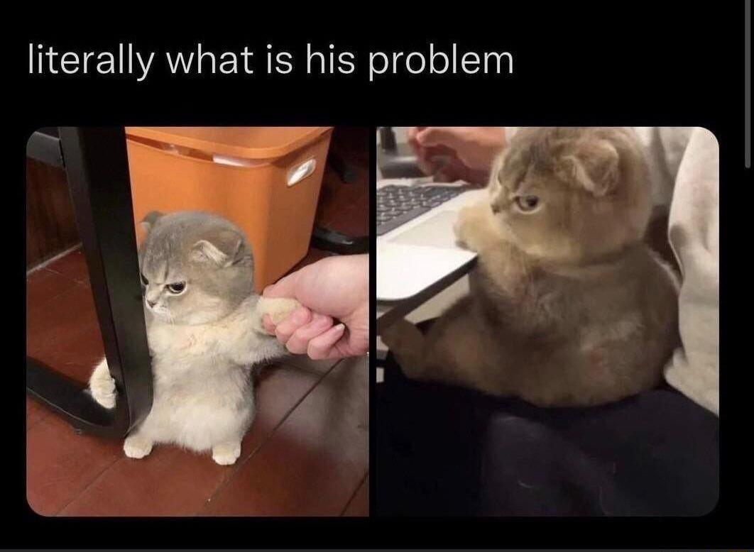 literally what is his problem