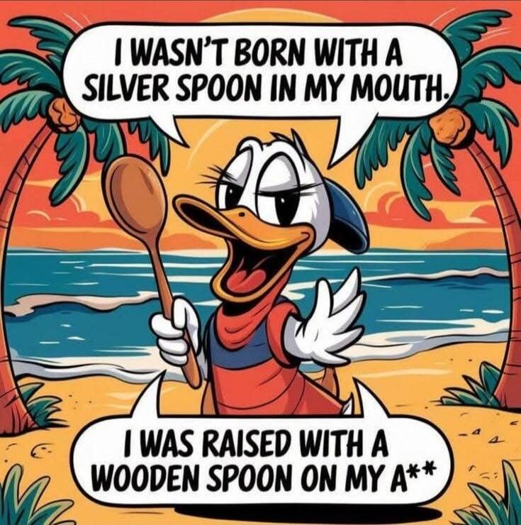 I wasn't born with a silver spoon in my mouth. I was raised with a wooden spoon on my a**