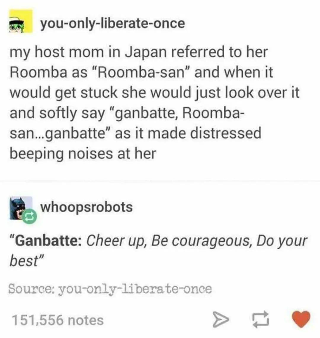 a you only liberate once my host mom in Japan referred to her Roomba as Roomba san and when it would get stuck she would just look over it and softly say ganbatte Roomba sanganbatte as it made distressed beeping noises at her whoopsrobots Ganbatte Cheer up Be courageous Do your best Sour you only liberate once 151556 notes 2 e