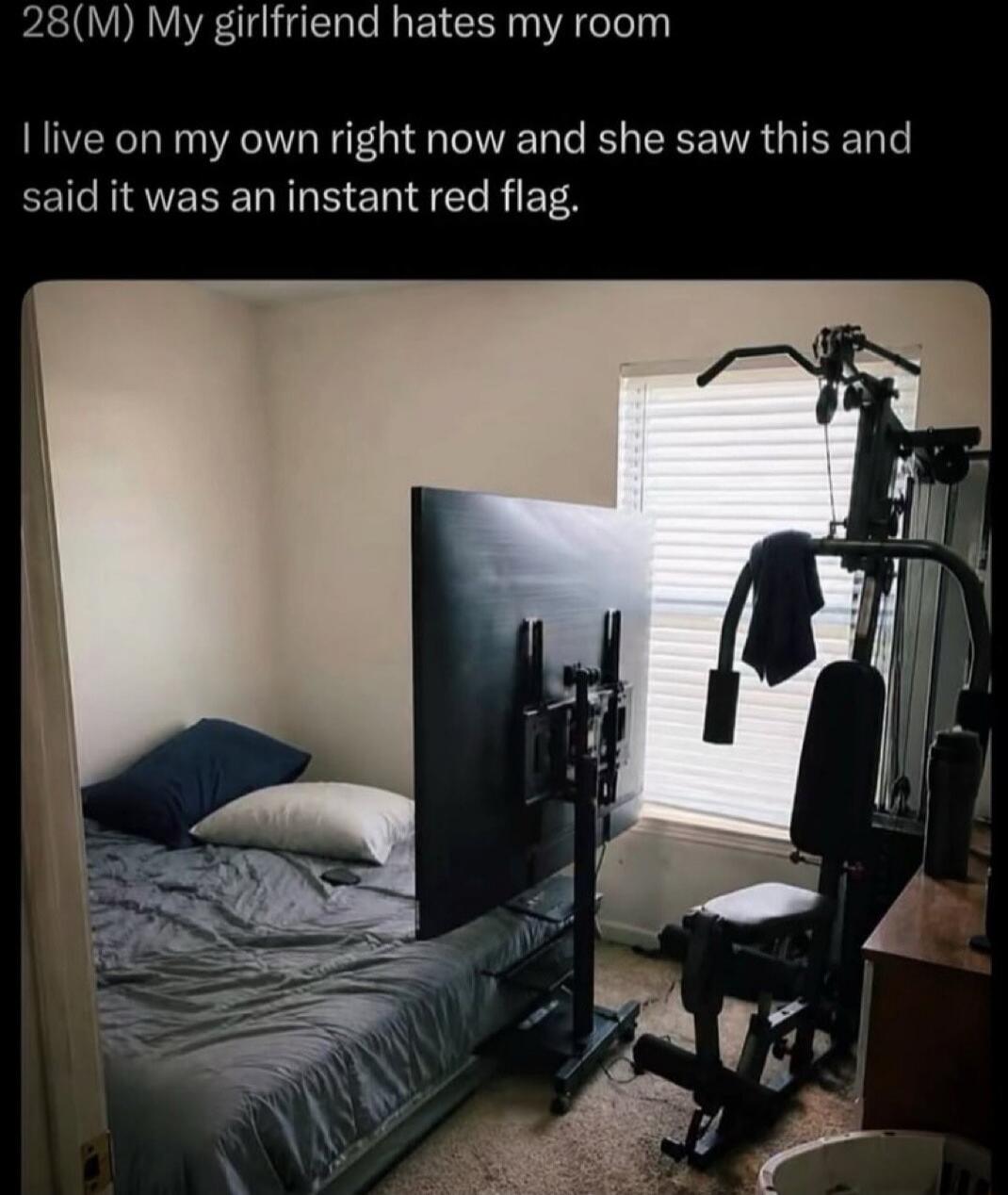 28(M) My girlfriend hates my room I live on my own right now and she saw this and said it was an instant red flag.