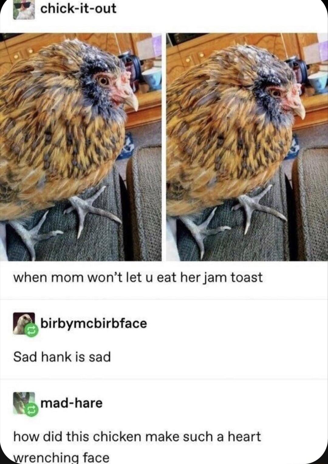 P chick it out k when mom wont let u eat her jam toast nbi rbymcbirbface Sad hank is sad umad ham how did this chicken make such a heart hlrenchinq face J