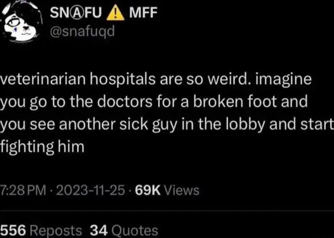 SNAFU A MFF HENVIeTe veterinarian hospitals are so weird imagine you go to the doctors for a broken foot and you see another sick guy in the lobby and start fighting him 728 PM 2023 11 25 69K Views 556 Reposts 34 Quotes