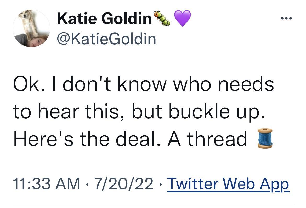 9 Katie Goldin KatieGoldin Ok I dont know who needs to hear this but buckle up Heres the deal A thread 1133 AM 72022 Twitter Web App