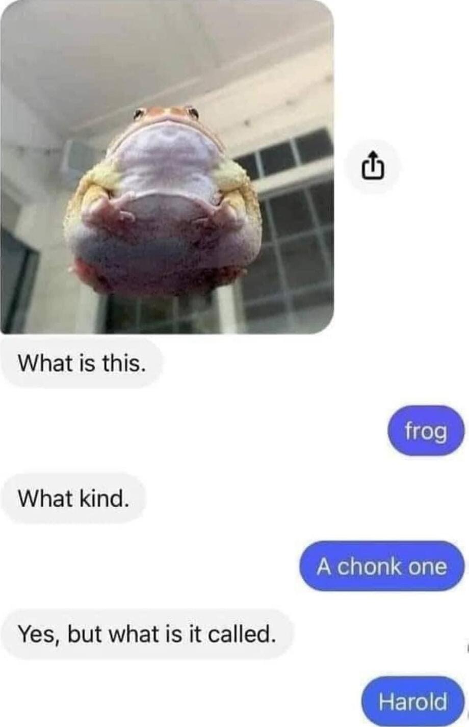 What is this What kind Yes but what is it called A chonk one H