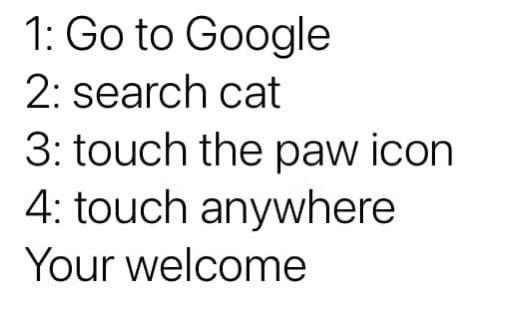 1 Go to Google 2 search cat 3 touch the paw icon 4 touch anywhere Your welcome