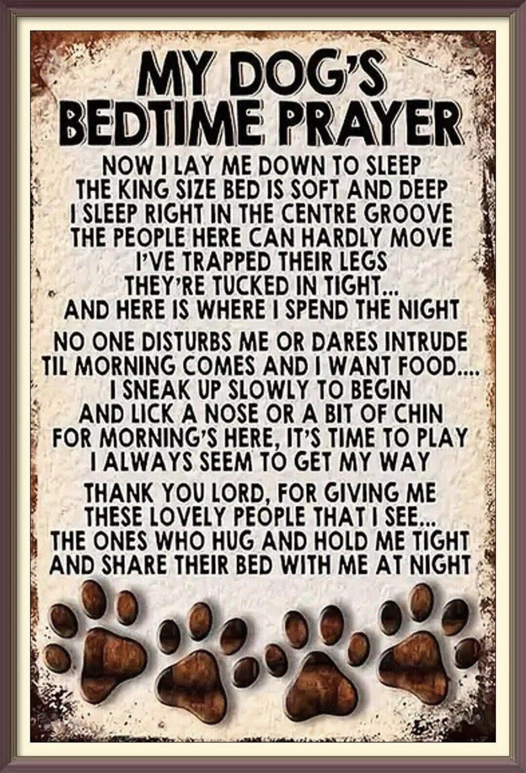 MY DOG'S BEDTIME PRAYER NOW I LAY ME DOWN TO SLEEP THE KING SIZE BED IS SOFT AND DEEP I SLEEP RIGHT IN THE CENTRE GROOVE THE PEOPLE HERE CAN HARDLY MOVE I'VE TRAPPED THEIR LEGS THEY'RE TUCKED IN TIGHT... AND HERE IS WHERE I SPEND THE NIGHT NO ONE DISTURBS ME OR DARES INTRUDE TIL MORNING COMES AND I WANT FOOD.... I SNEAK UP SLOWLY TO BEGIN AND LICK 
