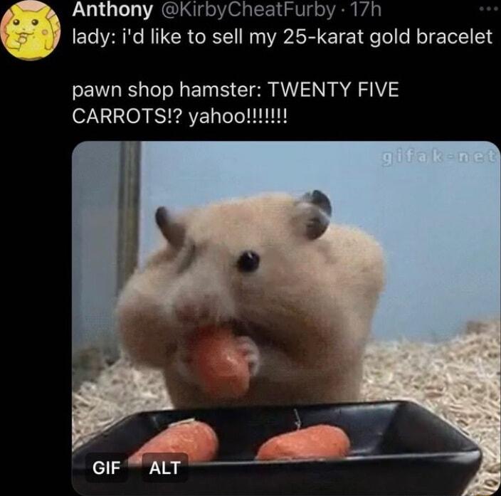 g Anthony KirbyCheatFurby 1h lady id like to sell my 25 karat gold bracelet pawn shop hamster TWENTY FIVE