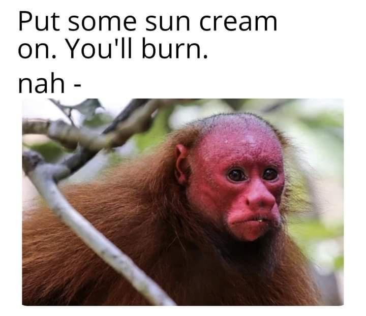 Put some sun cream on Youll burn nah