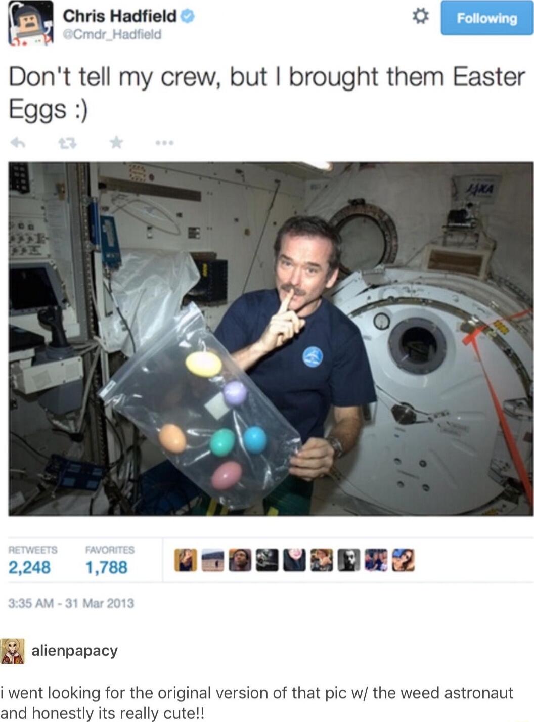 m Chris Hadfield o Dont tell my crew but brought them Easter Eggs 200 170 WNBHEANMOERESZ l atienpapacy i went looking for the original version of that pic wj the weed astronaut and honestly its really cutet