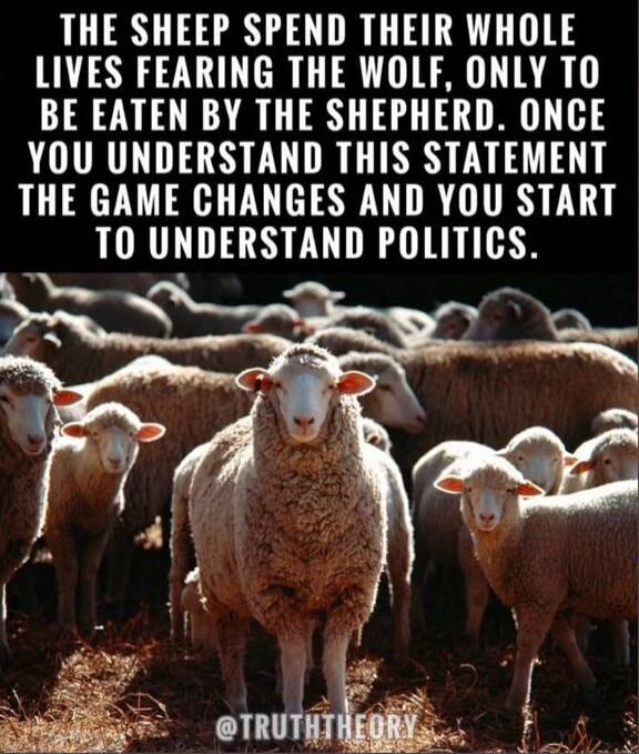 THE SHEEP SPEND THEIR WHOLE LIVES FEARING THE WOLF, ONLY TO BE EATEN BY THE SHEPHERD. ONCE YOU UNDERSTAND THIS STATEMENT THE GAME CHANGES AND YOU START TO UNDERSTAND POLITICS. @TRUTHTHEORY
