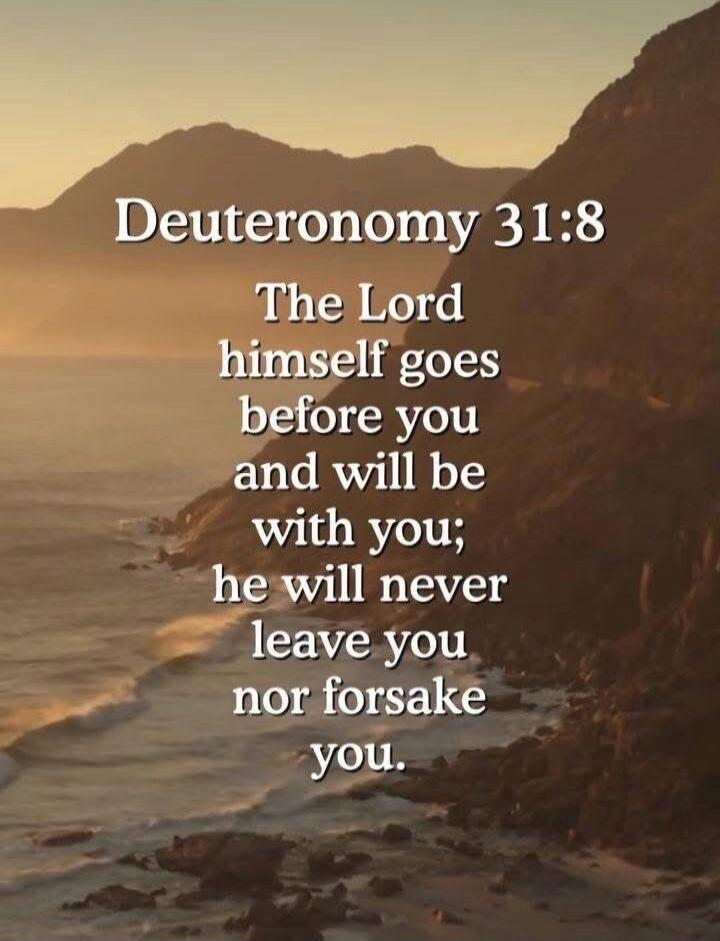 Deuteronomy 31:8 The Lord himself goes before you and will be with you; he will never leave you nor forsake you.