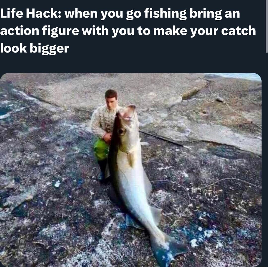 Life Hack when you go fishing bring an action figure with you to make your catch look bigger