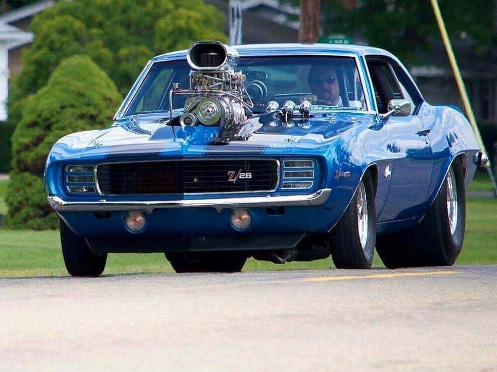Z/28
