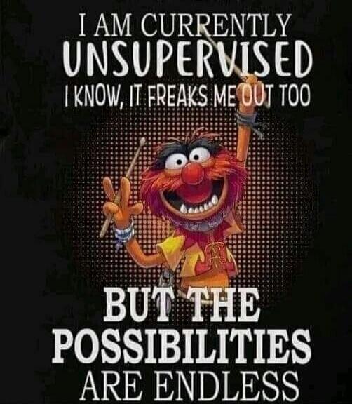 I AM CURRENTLY UNSUPERVISED I KNOW, IT FREAKS ME OUT TOO BUT THE POSSIBILITIES ARE ENDLESS