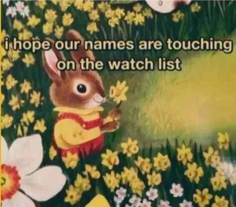 S N T 3 llo_pe our DEWESIETCER GV v on the watch list