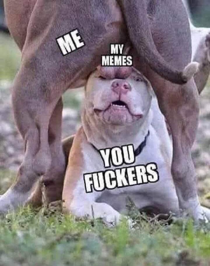 ME MY MEMES YOU FUCKERS