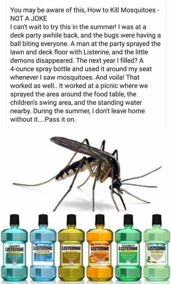 You may be aware of this How to Kill Mosquitoes NOT A JOKE cant wait to try this in the summer was ata deck party awhile back and the bugs were having a ball biting everyone A man at the party sprayed the lawn and deck floor with Listerine and the little demons disappeared The next year filled A 4 ounce spray bottle and used it around my seat whenever saw mosquitoes And voila That worked as well I