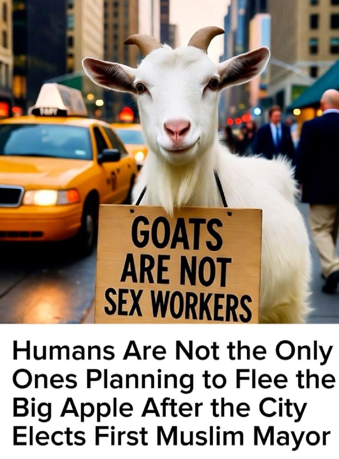 GOATS ARE NOT SEX WORKERS
Humans Are Not the Only Ones Planning to Flee the Big Apple After the City Elects First Muslim Mayor