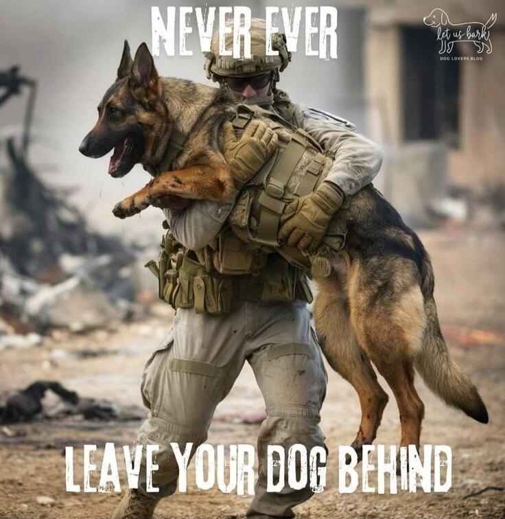 NEVER EVER LEAVE YOUR DOG BEHIND