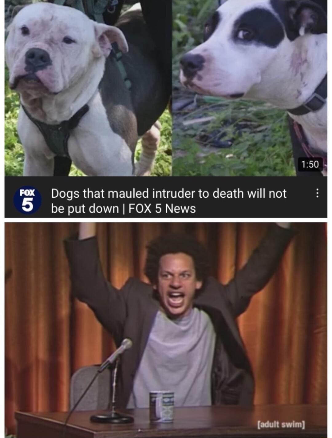 Pox Dogs that mauled intruder to death will not be put down FOX 5 News odult swim