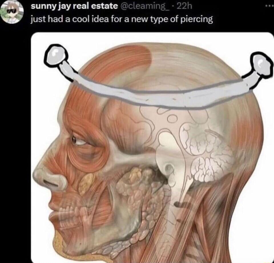 sunny jay real estate just had a cool idea for a new type of piercing