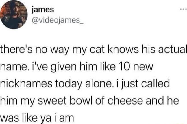 james videojames_ theres no way my cat knows his actual name ive given him like 10 new nicknames today alone i just called him my sweet bowl of cheese and he was like yaiam