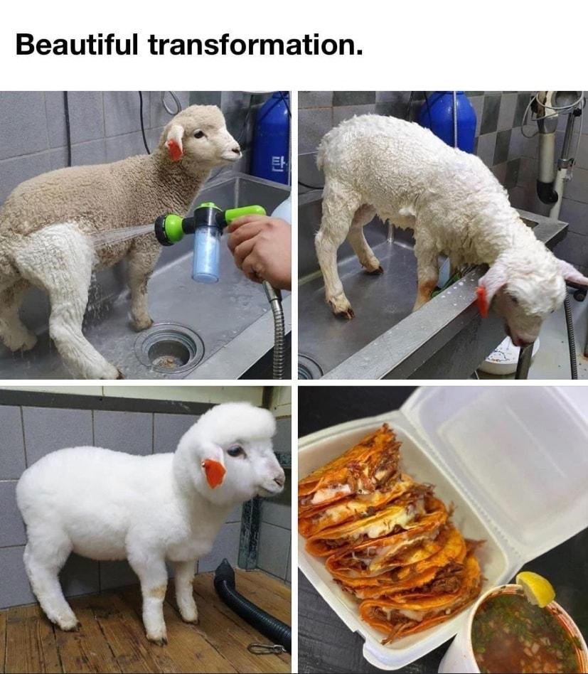 Beautiful transformation