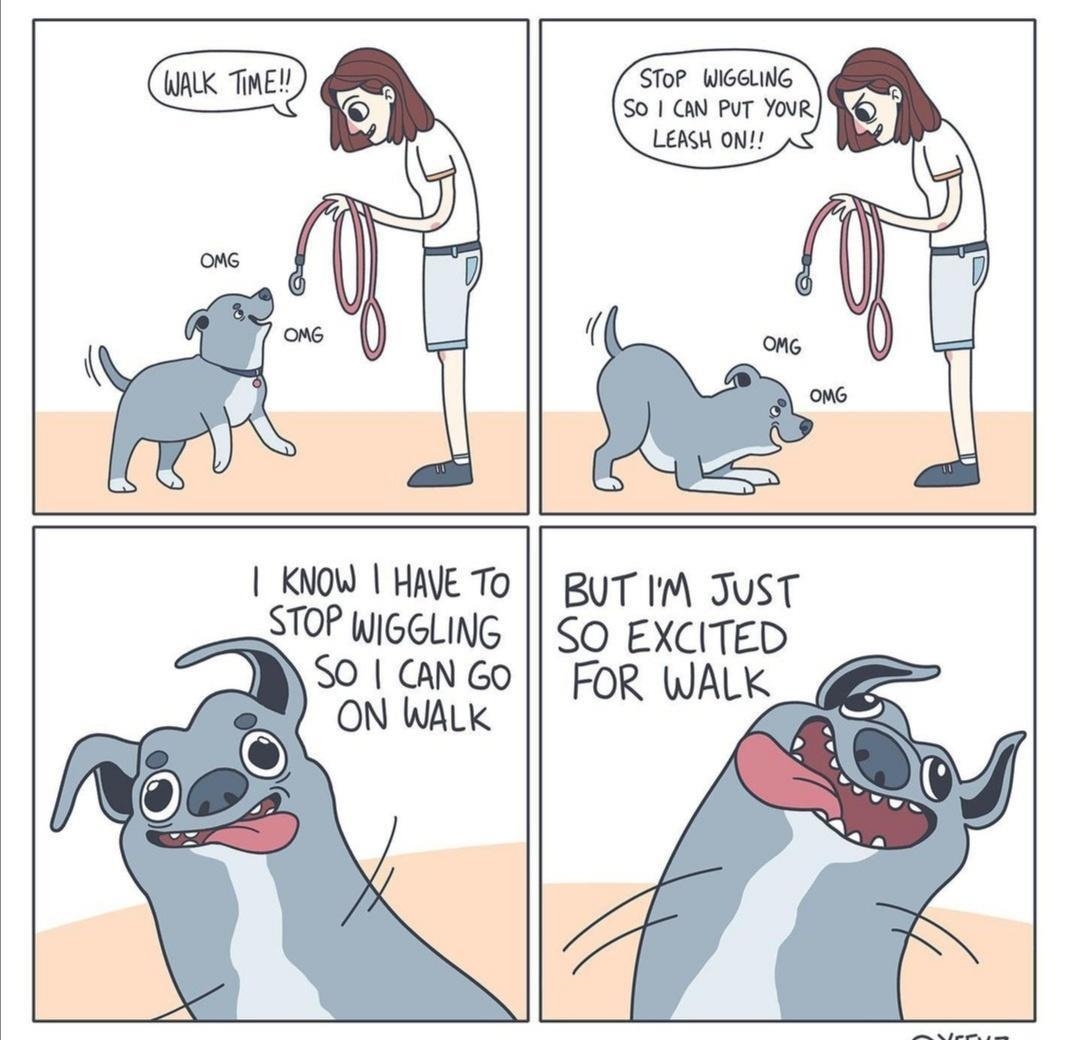 SToP WIGELING SO AN PUT YOUR LEASH ON BUT IM JUST SO EXCITED FOR WALK