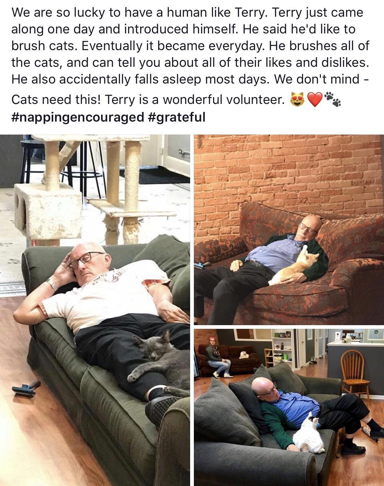 Safe Haven Pet Sanctuary Inc is feeling ooo grateful Tuesday at 311PM Safsliviee We are so lucky to have a human like Terry Terry just came along one day and introduced himself He said hed like to brush cats Eventually it became everyday He brushes all of the cats and can tell you about all of their likes and dislikes He also accidentally falls asleep most days We dont mind G Cats need this Terry 