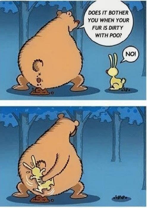 DOES IT BOTHER YOU WHEN YOUR FUR IS DIRTY WITH POO? NO!