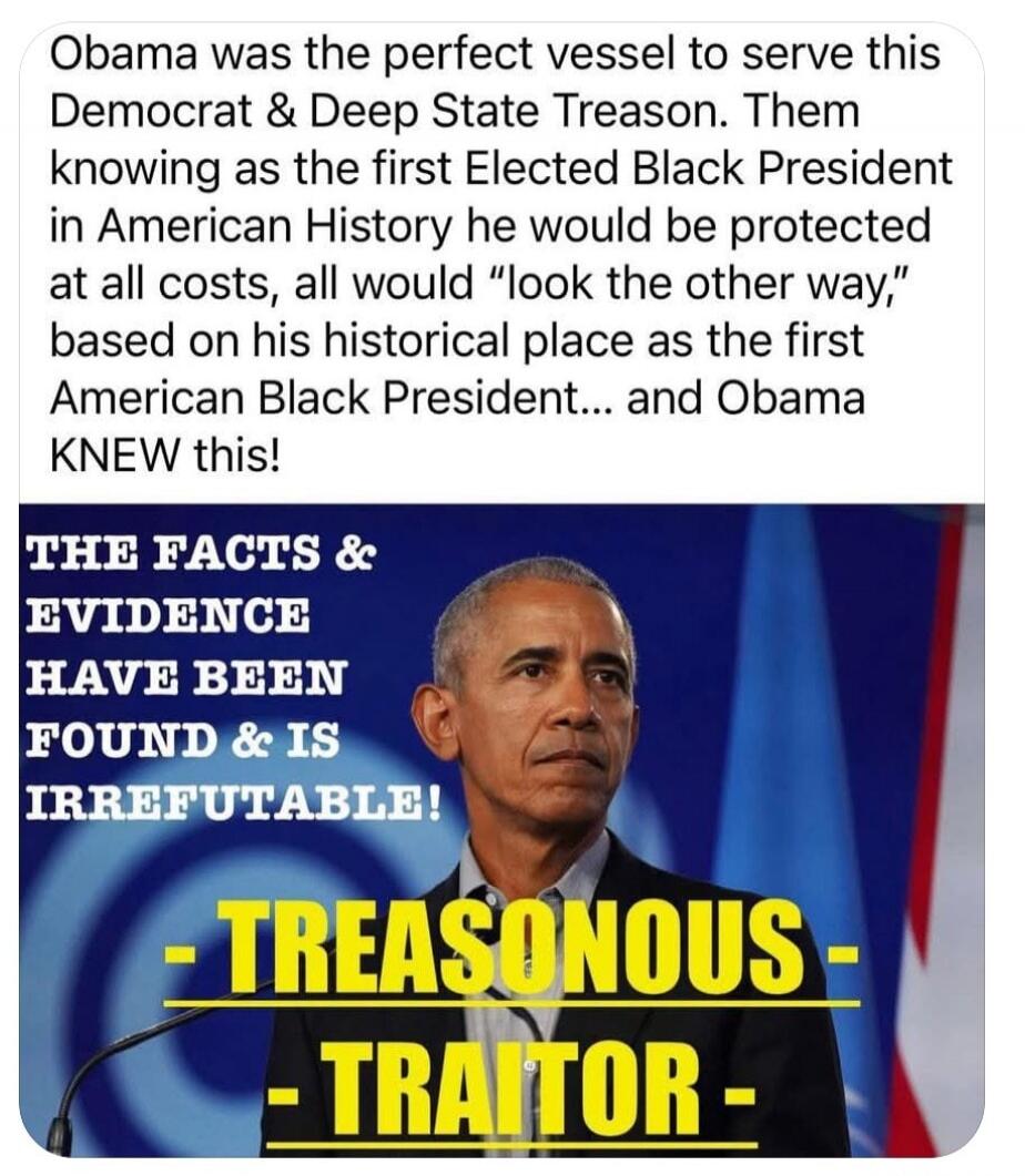 Obama was the perfect vessel to serve this Democrat & Deep State Treason. Them knowing as the first Elected Black President in American History he would be protected at all costs, all would 