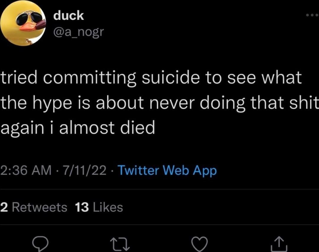duck a_nogr tried committing suicide to see what the hype is about never doing that shit again i almost died 236 AM 71122 Twitter Web App 2 Retweets 13 Likes i o O