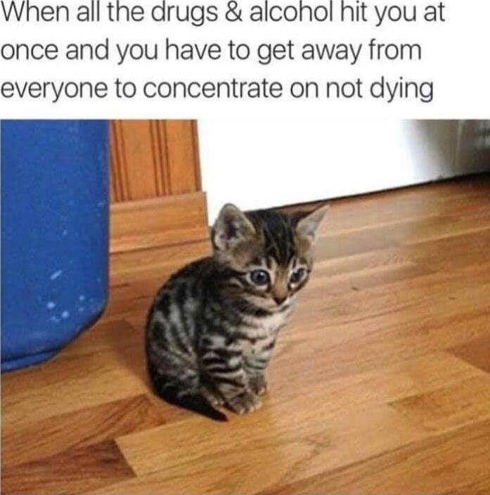 When all the drugs alcohol hit you at once and you have to get away from everyone to concentrate on not dying