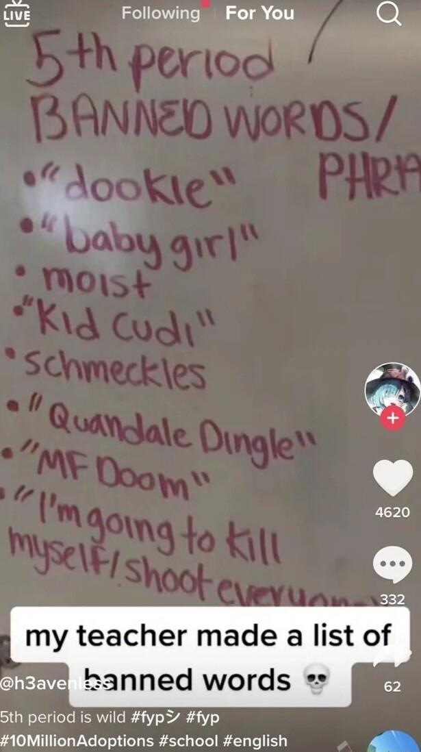 Qv Following For You 5 Sth period is wild fyp fyp 10MillionAdoptions school english