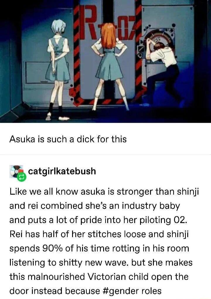 Asuka is such a dick for this I catgirlkatebush Like we all know asuka is stronger than shinji and rei combined shes an industry baby and puts a lot of pride into her piloting 02 Rei has half of her stitches loose and shinji spends 90 of his time rotting in his room listening to shitty new wave but she makes this malnourished Victorian child open the door instead because gender roles