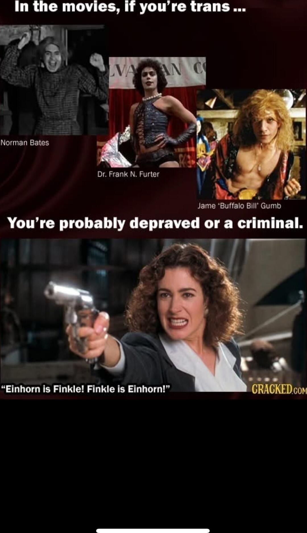 In the movies if youre trans Norman Bates AN Jame Buffalo BiI Gumb ACTY N T BT T EE BTN L ET Einhorn is Finkle Finkle is Einhorn