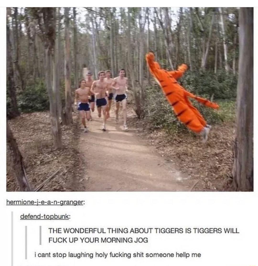 hermione j e a n granger defend topbunk THE WONDERFUL THING ABOUT TIGGERS IS TIGGERS WILL FUCK UP YOUR MORNING JOG i cant stop laughing holy fucking shit someone hellp me