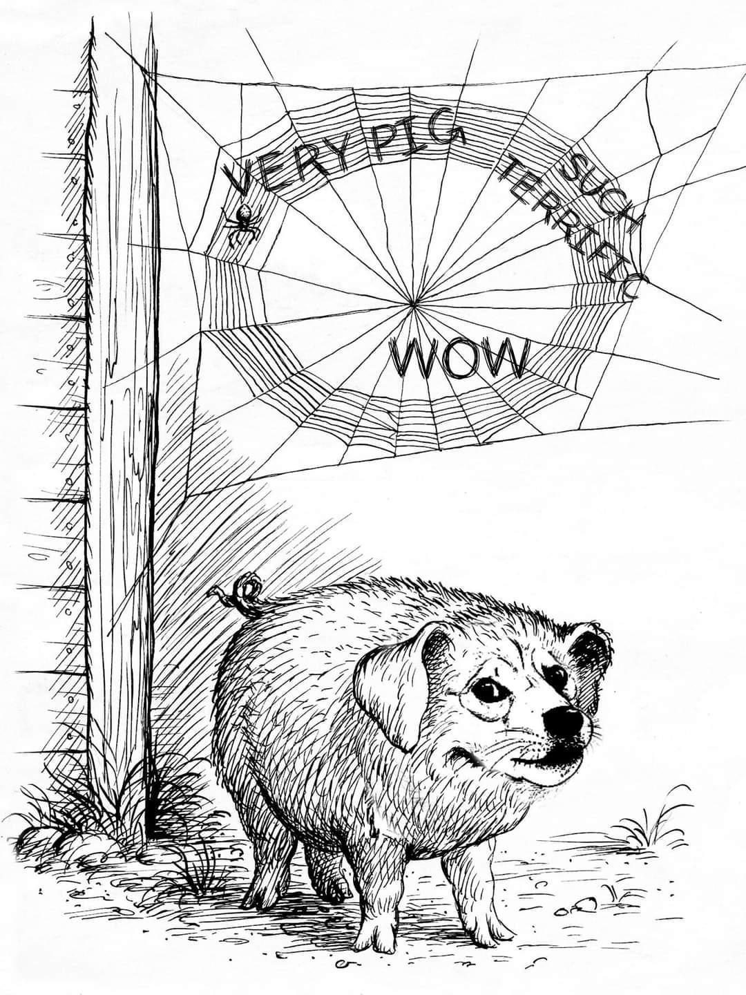 N il o pA R 7 V4 4 7 i