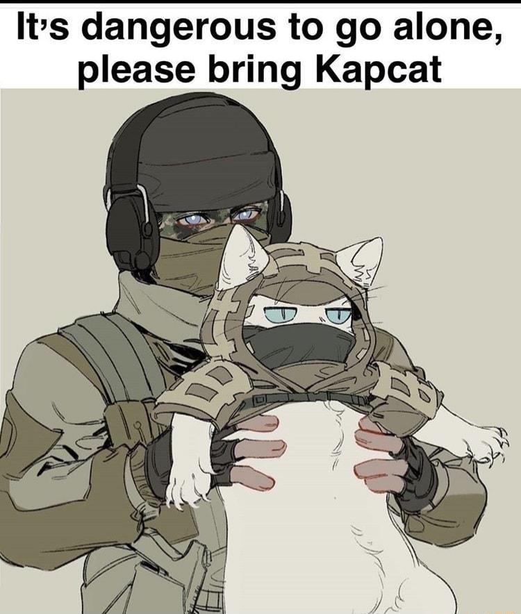 Its dangerous to go alone please bring Kapcat