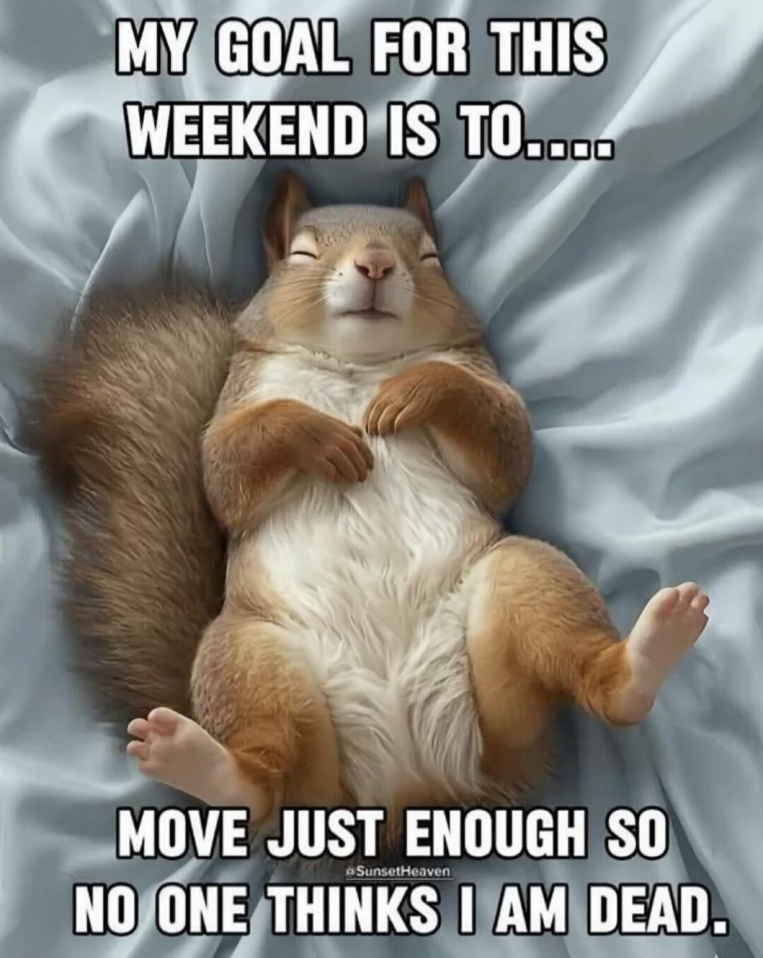 MY GOAL FOR THIS WEEKEND IS TO.... MOVE JUST ENOUGH SO NO ONE THINKS I AM DEAD.