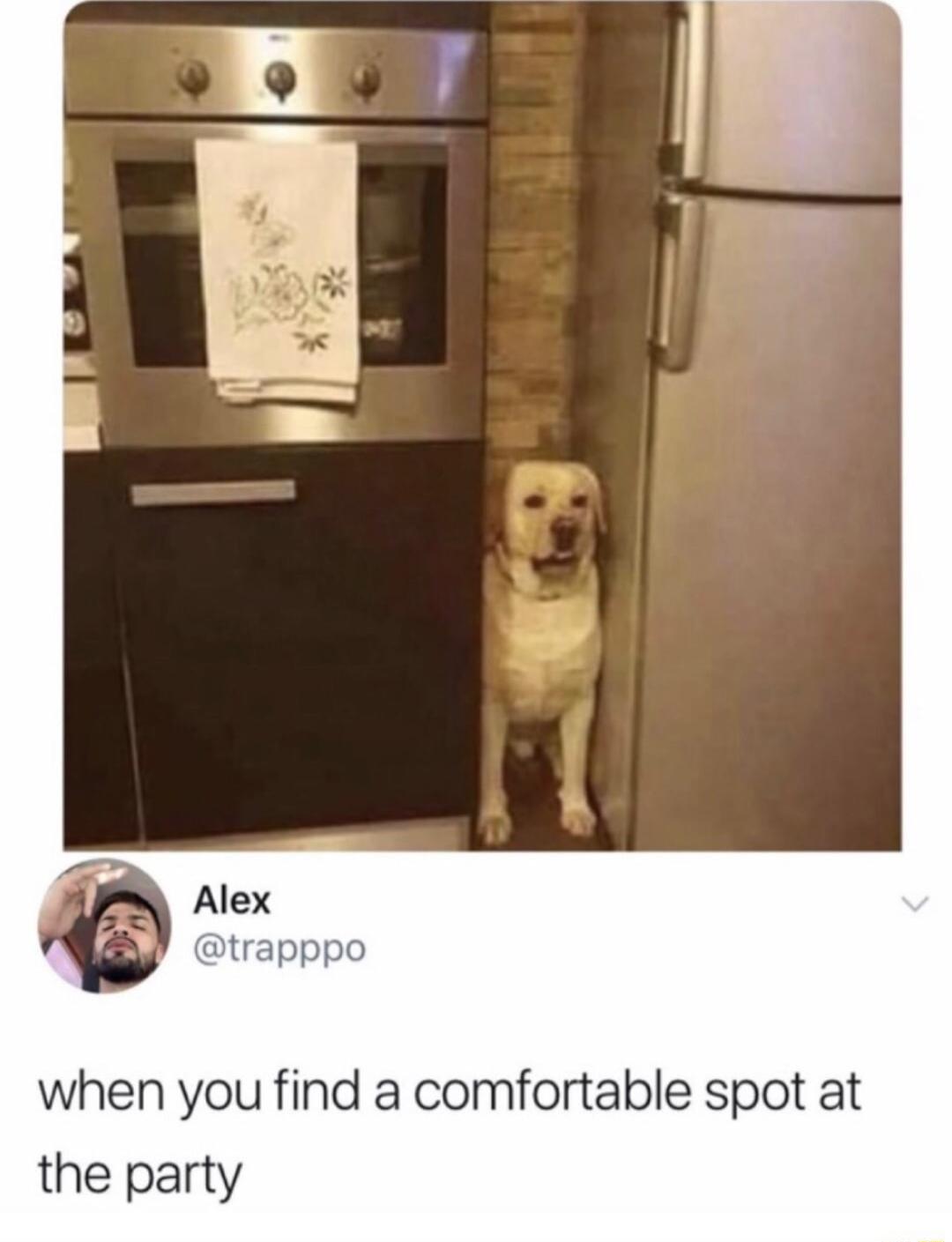 when you find a comfortable spot at the party