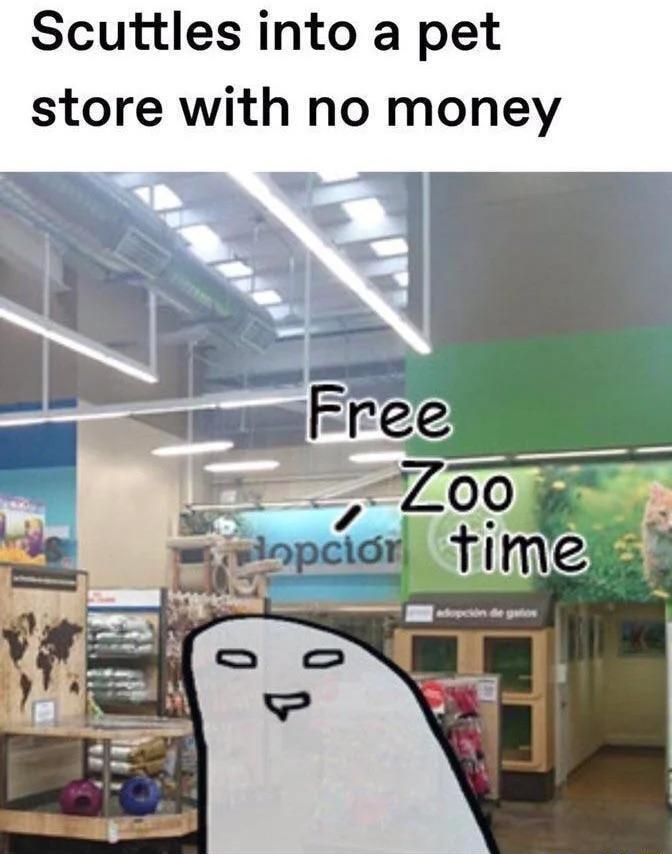 Scuttles into a pet store with no money