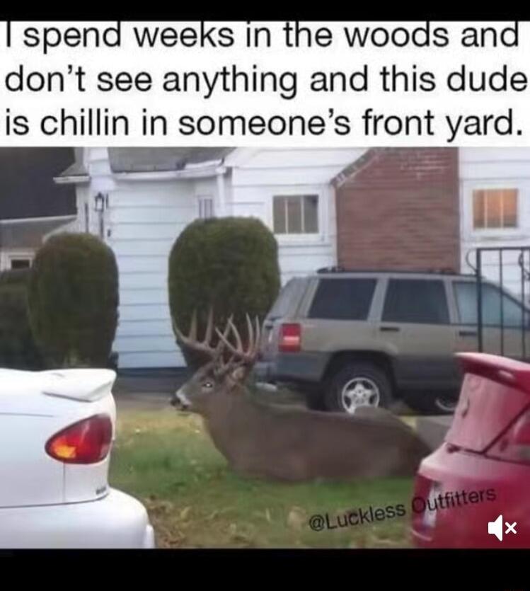 spend weeks In the woods and dont see anything and this dude is chillin in someones front yard