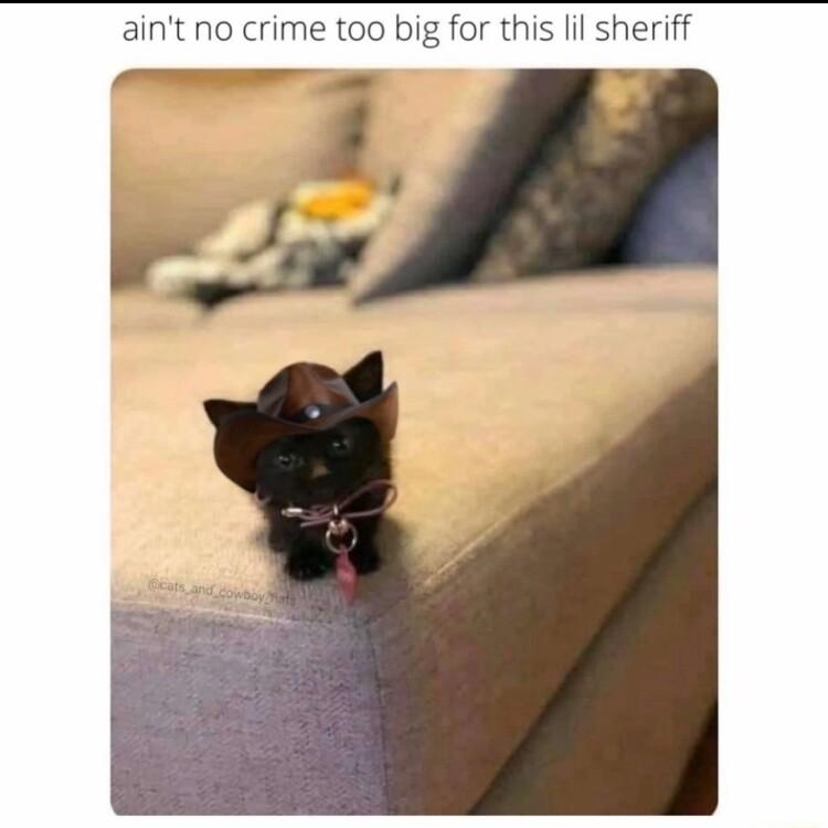 aint no crime too big for this lil sheriff
