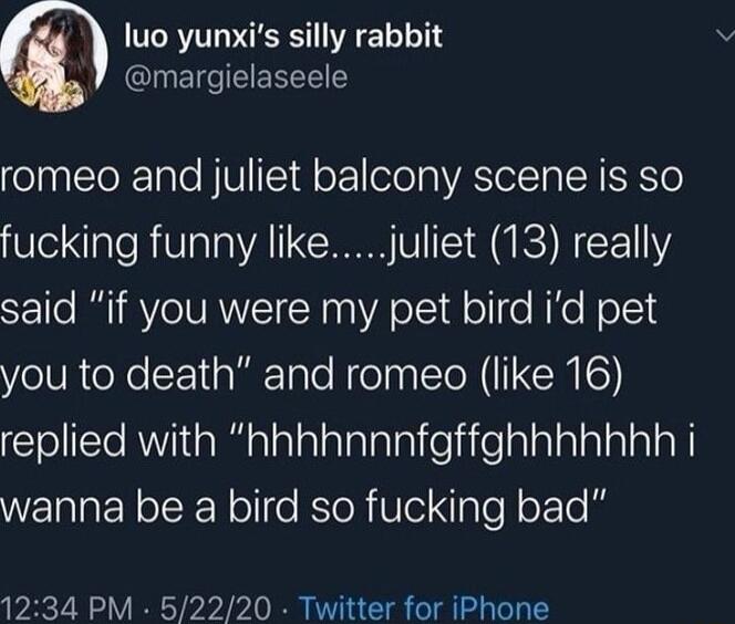 luo yunxis silly rabbit margielaseele romeo and juliet balcony scene is so fucking funny likejuliet 13 really said if you were my pet bird id pet YolVReXe F1alTale Holna TN XENIO R el sl TaTaleiielalalalalalaTa N WEIIEN IRl o KIeR Ule ale o kTe 8 1234 PM 52220 Twitter for iPhone