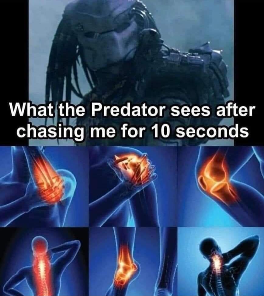 What the Predator sees after chasing me for 10 seconds. Images show various human joints and the spine glowing red, indicating pain in the elbow, shoulder, knee, back, ankle, and neck.