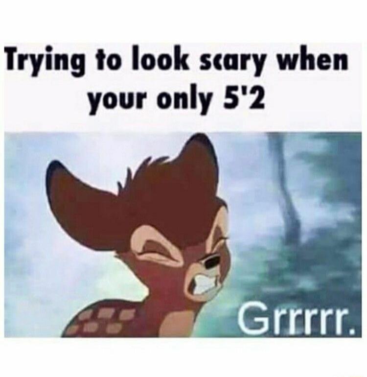 Trying to look scary when your only 5'2 Grrrrr.
