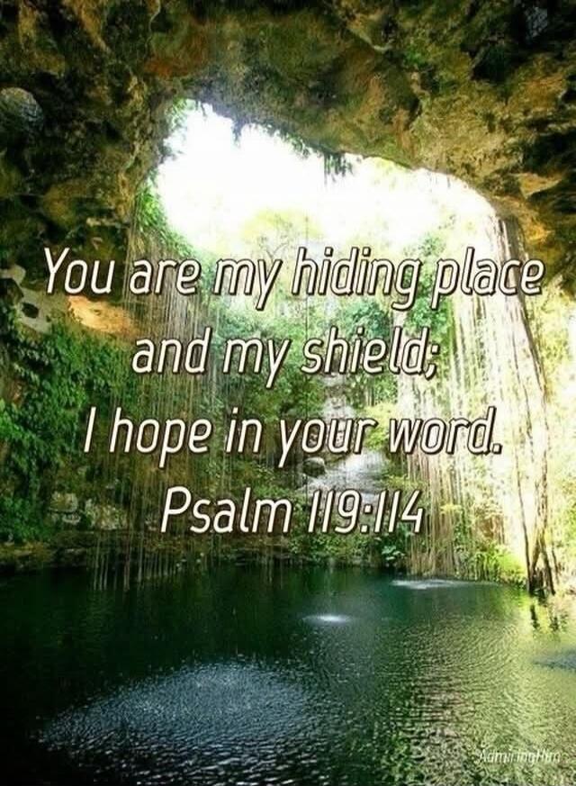 You are my hiding place and my shield; I hope in your word. Psalm 119:114