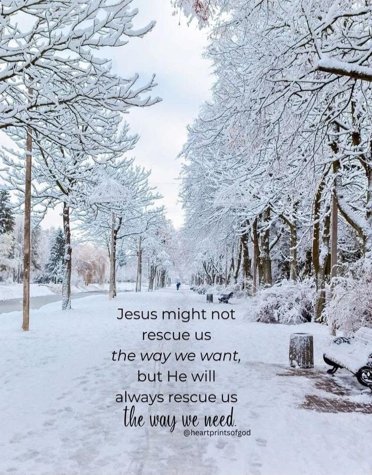 Jesus might not rescue us the way we want, but He will always rescue us the way we need.